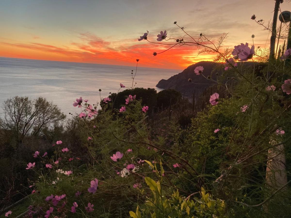 Villa Pietrafiore Monterosso al Mare Luaran gambar