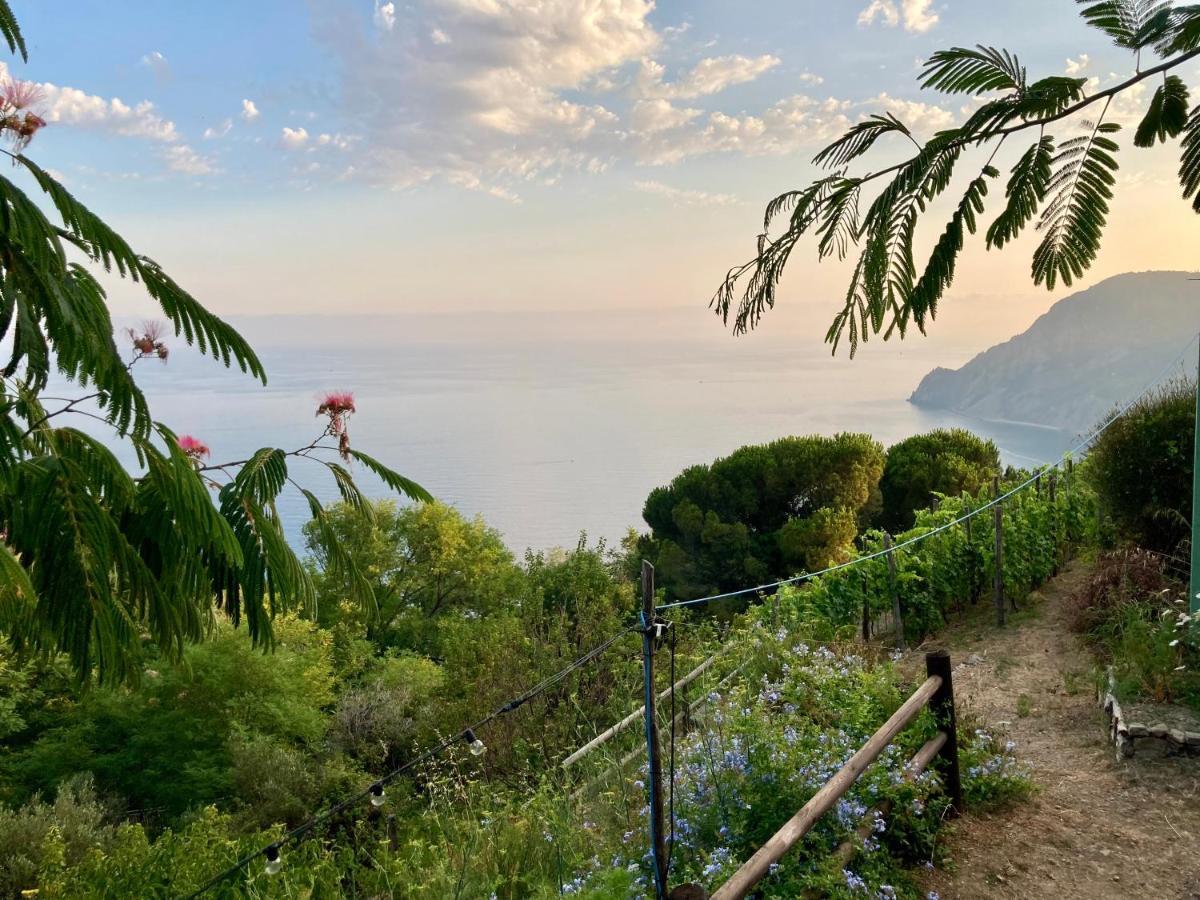 Villa Pietrafiore Monterosso al Mare Luaran gambar