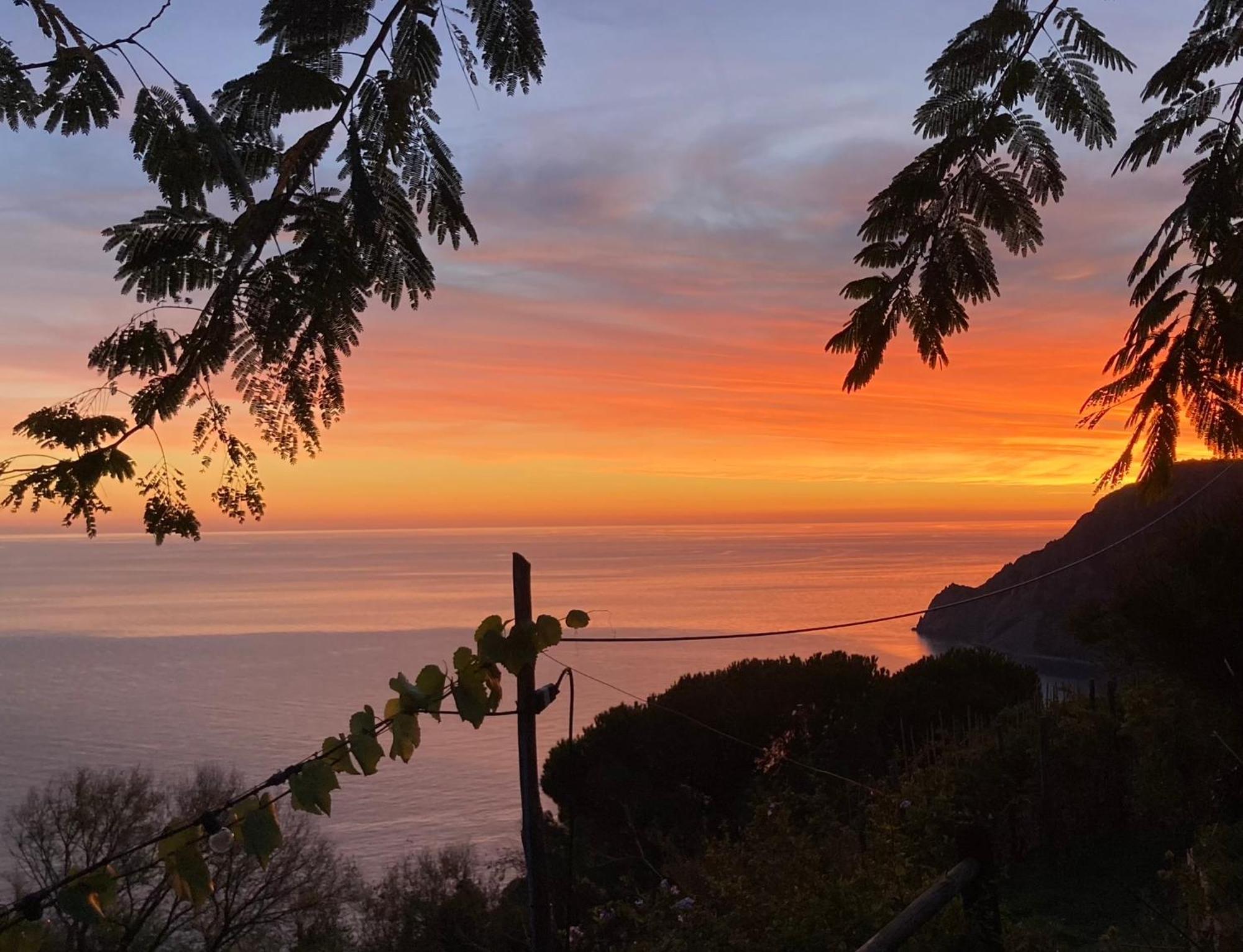 Villa Pietrafiore Monterosso al Mare Luaran gambar