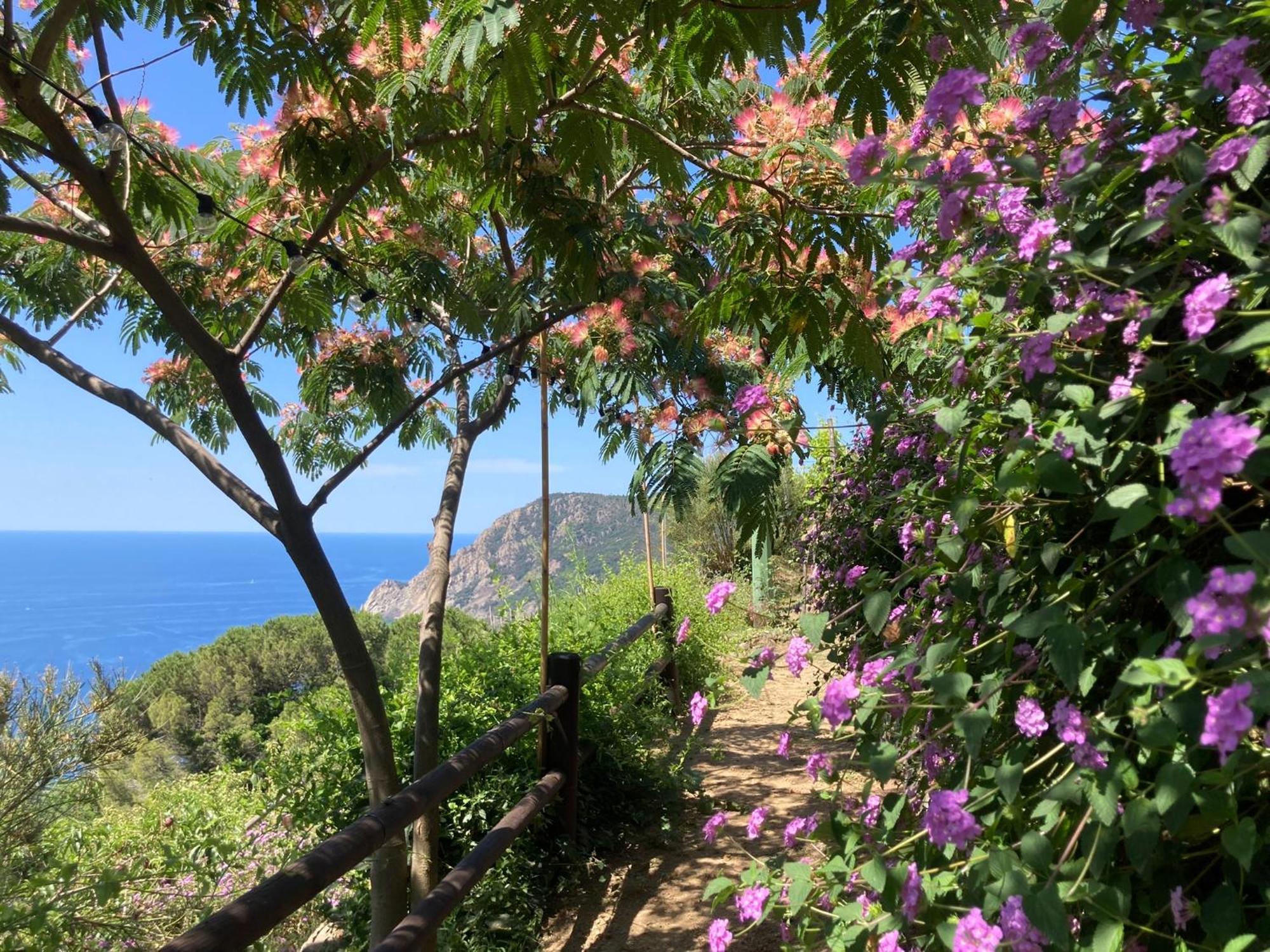 Villa Pietrafiore Monterosso al Mare Luaran gambar