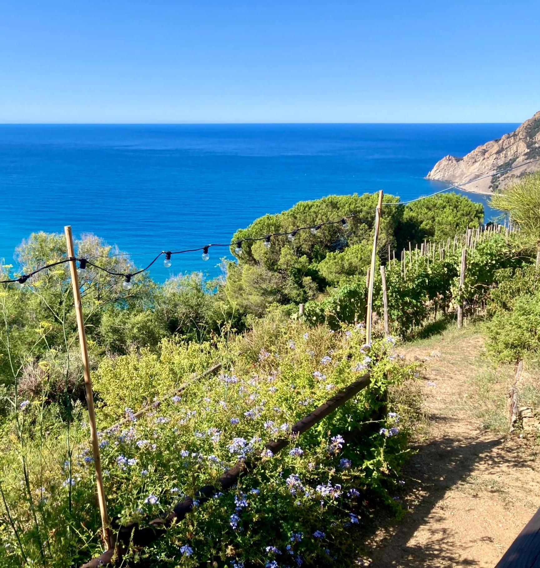 Villa Pietrafiore Monterosso al Mare Luaran gambar