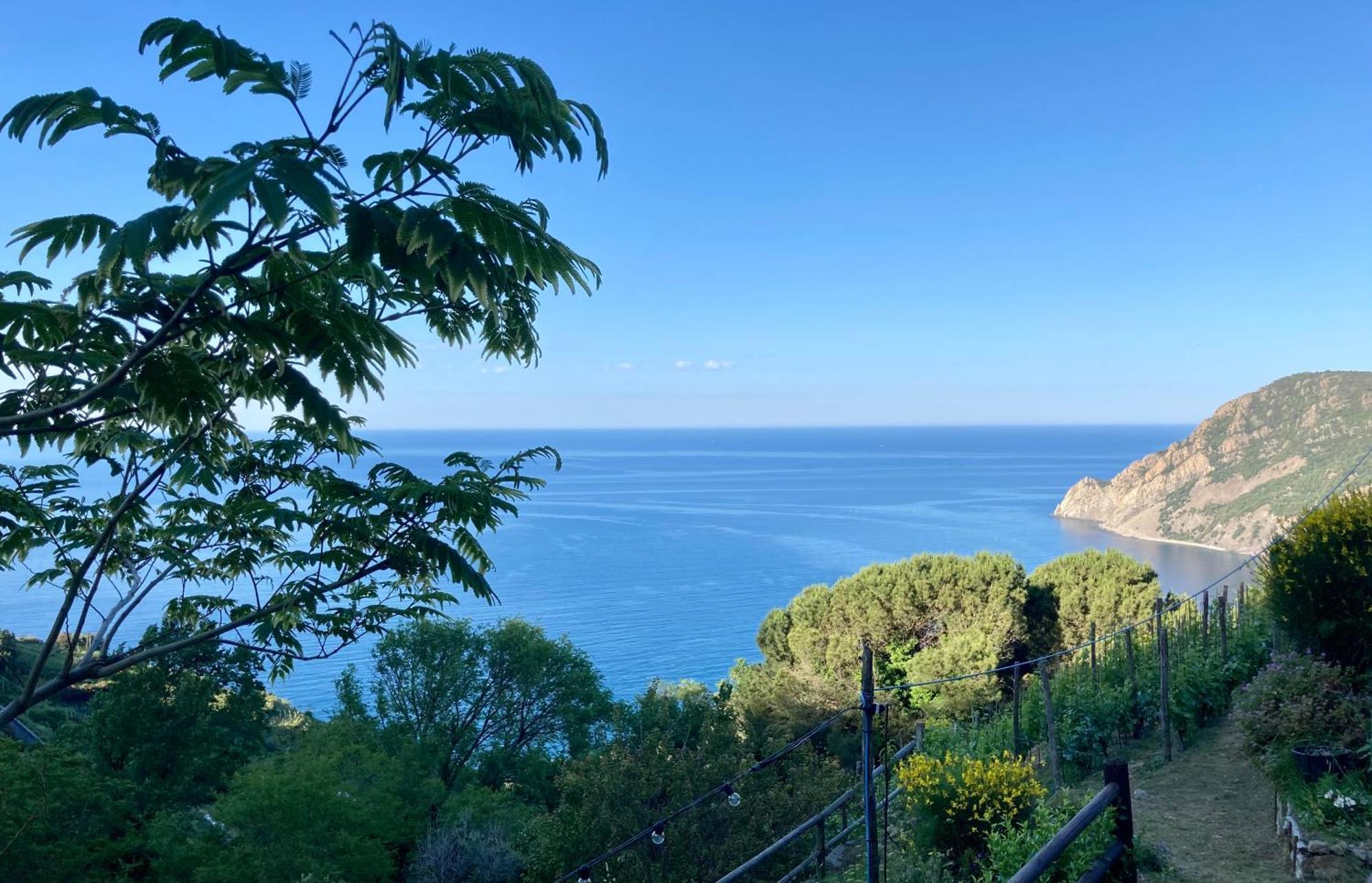 Villa Pietrafiore Monterosso al Mare Luaran gambar