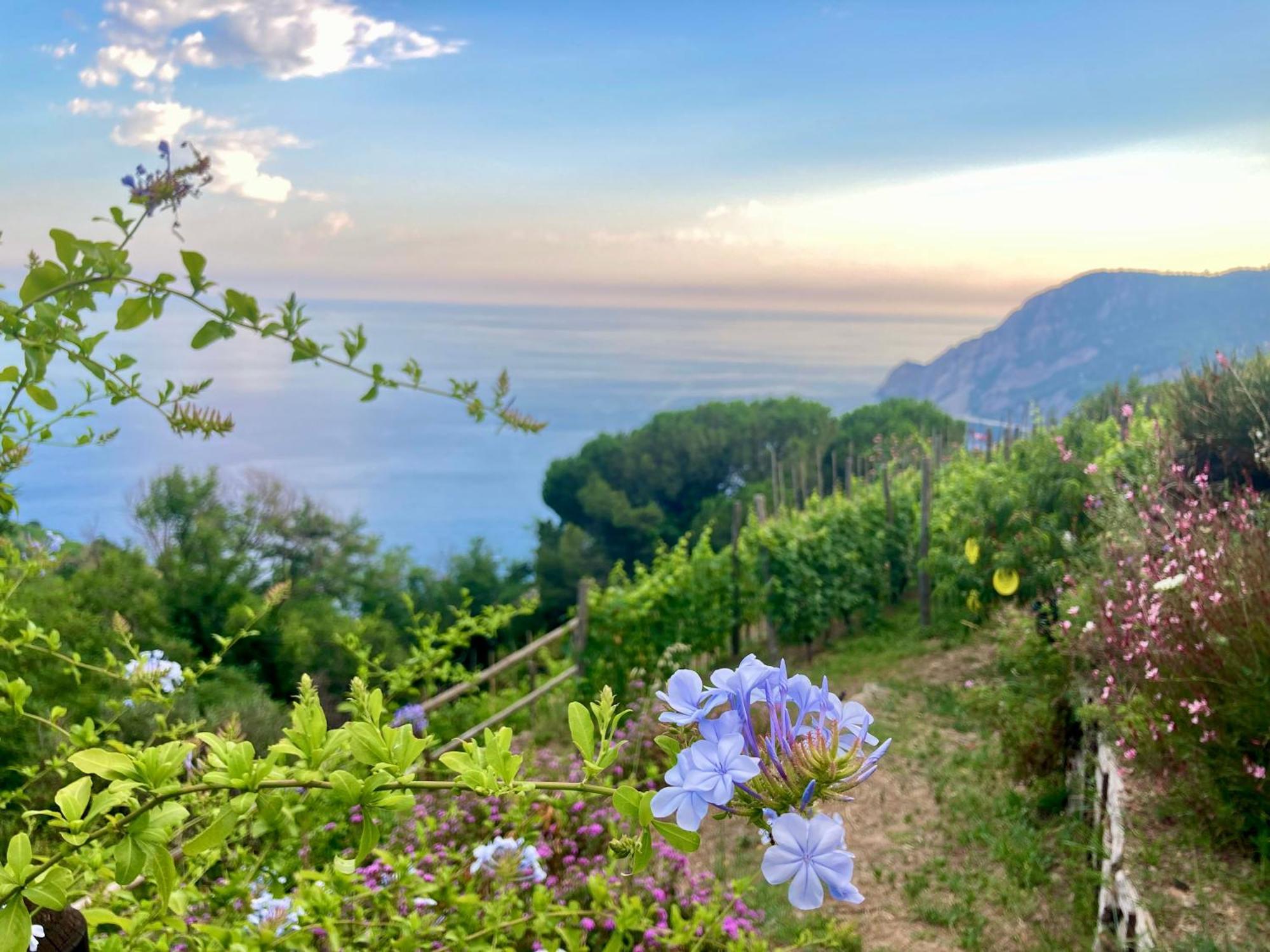 Villa Pietrafiore Monterosso al Mare Luaran gambar