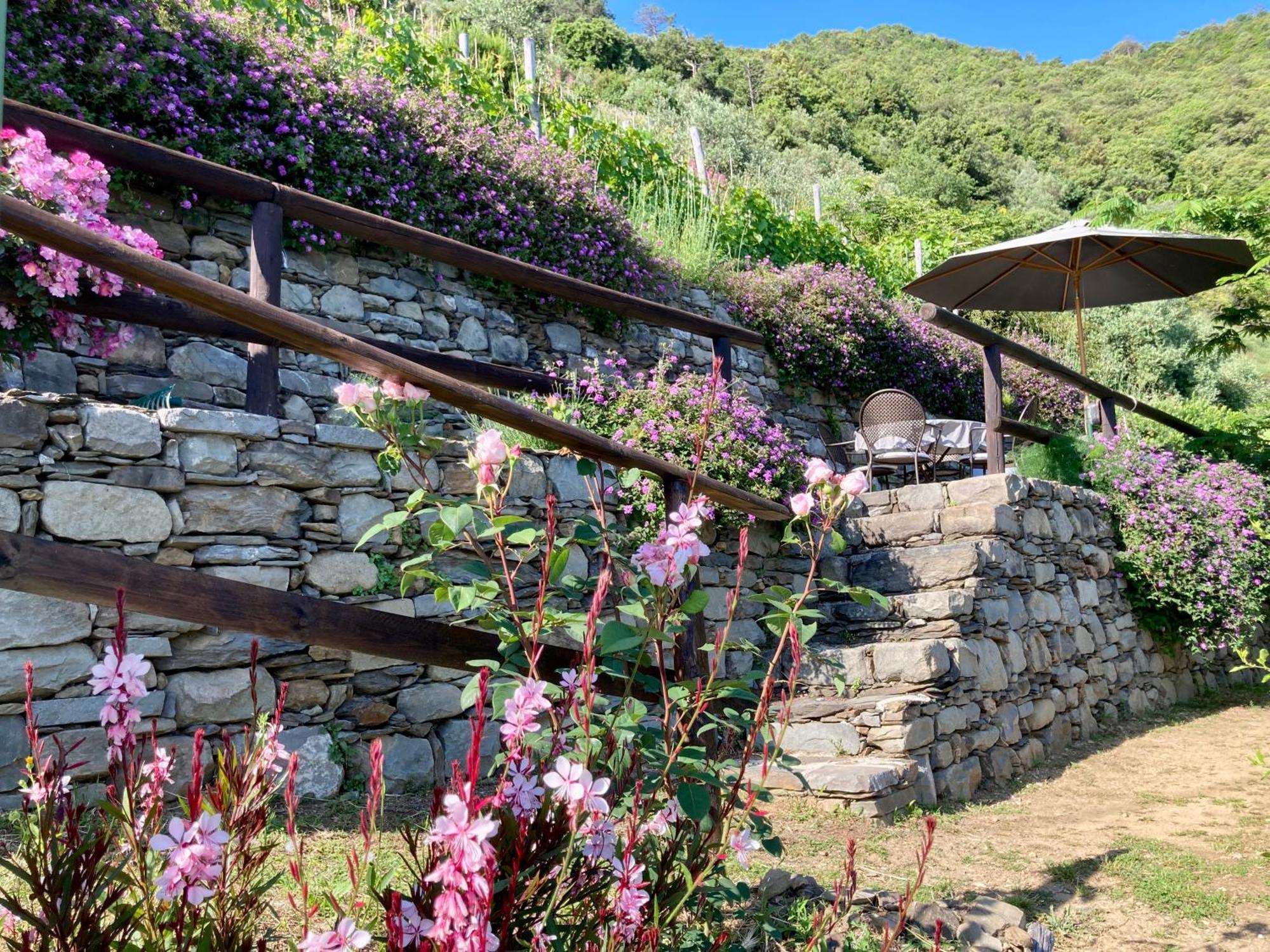 Villa Pietrafiore Monterosso al Mare Luaran gambar
